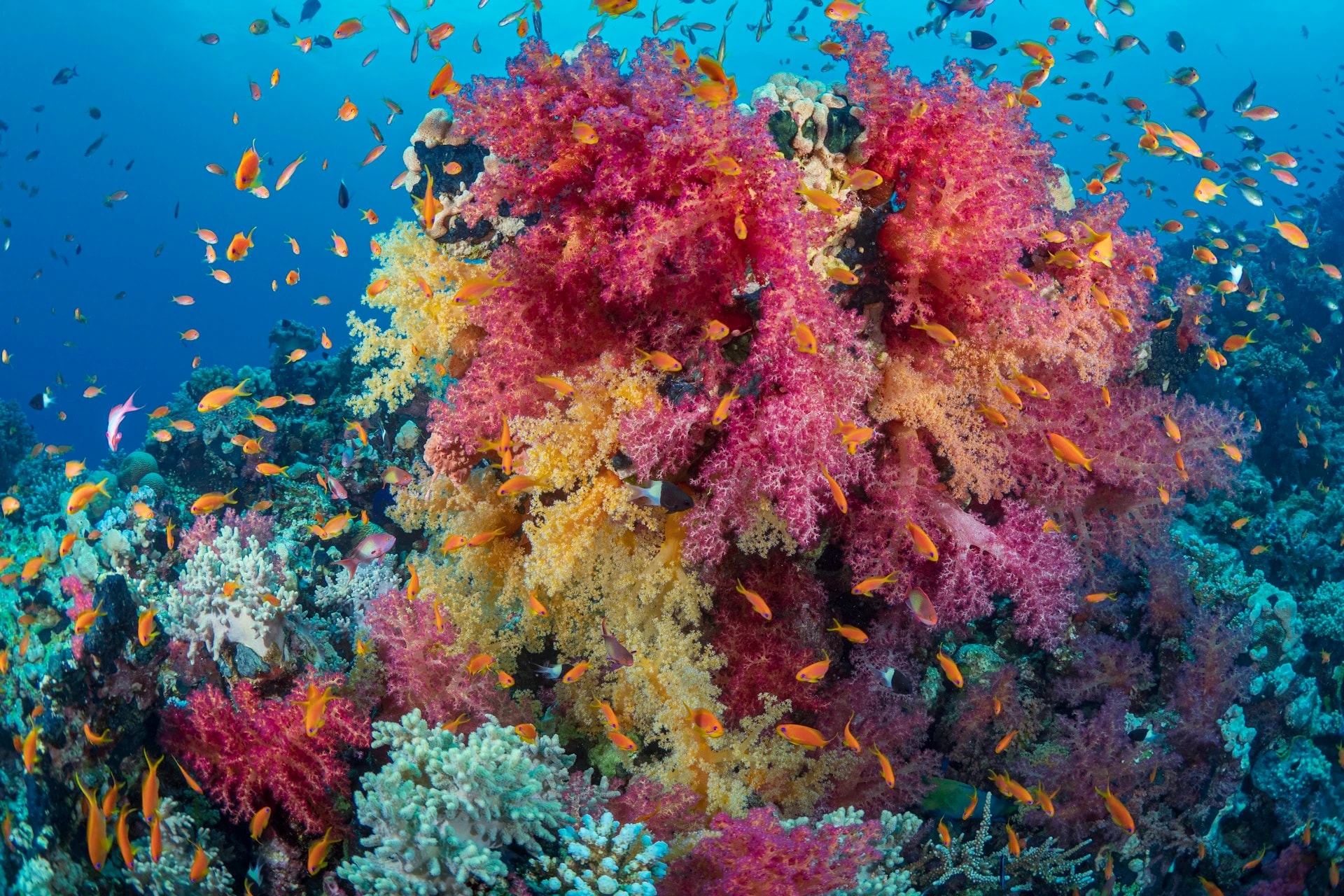 Hurghada — visite guidée privée avec guide francophone