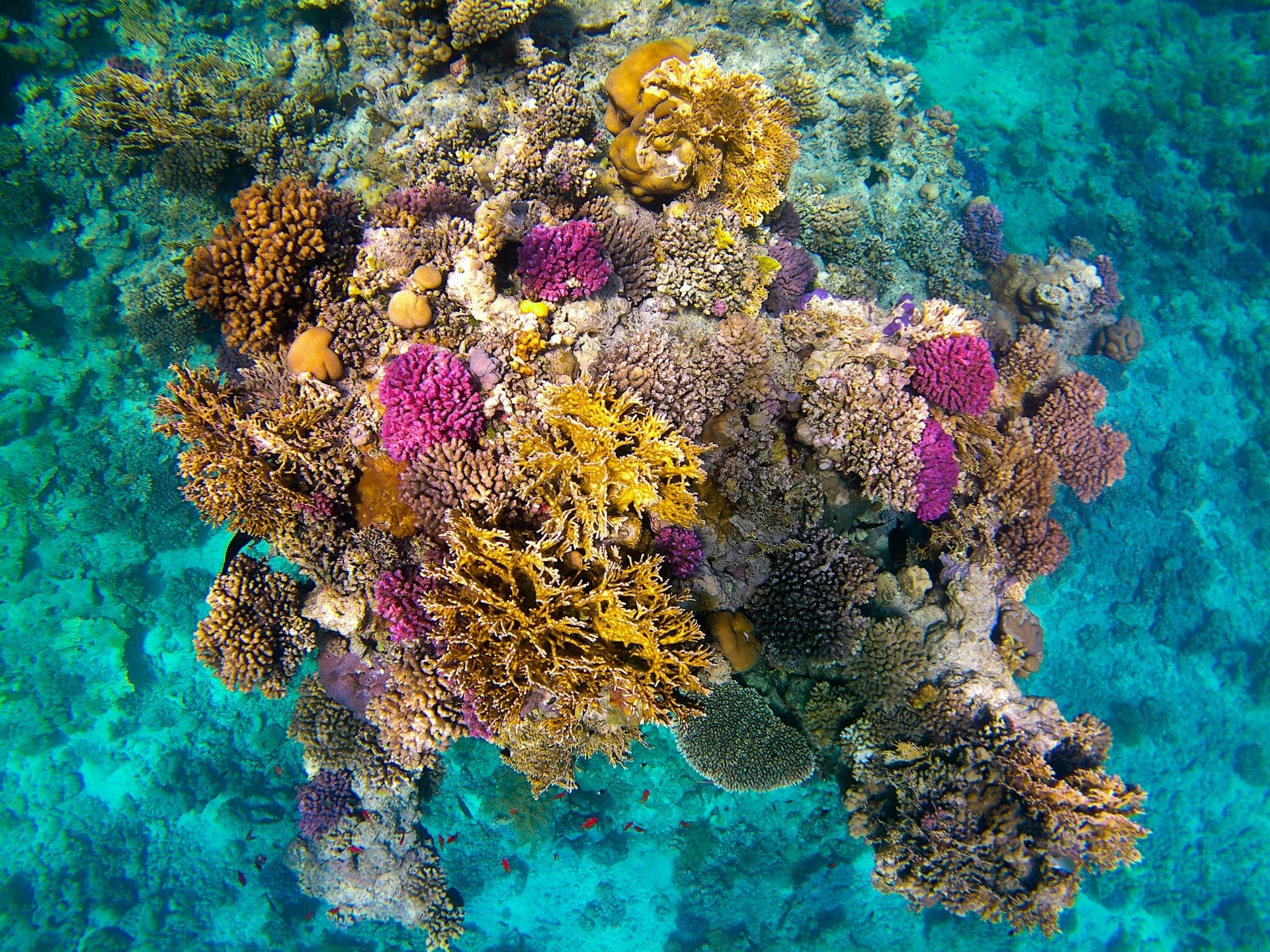 Hurghada — visite guidée privée avec guide francophone