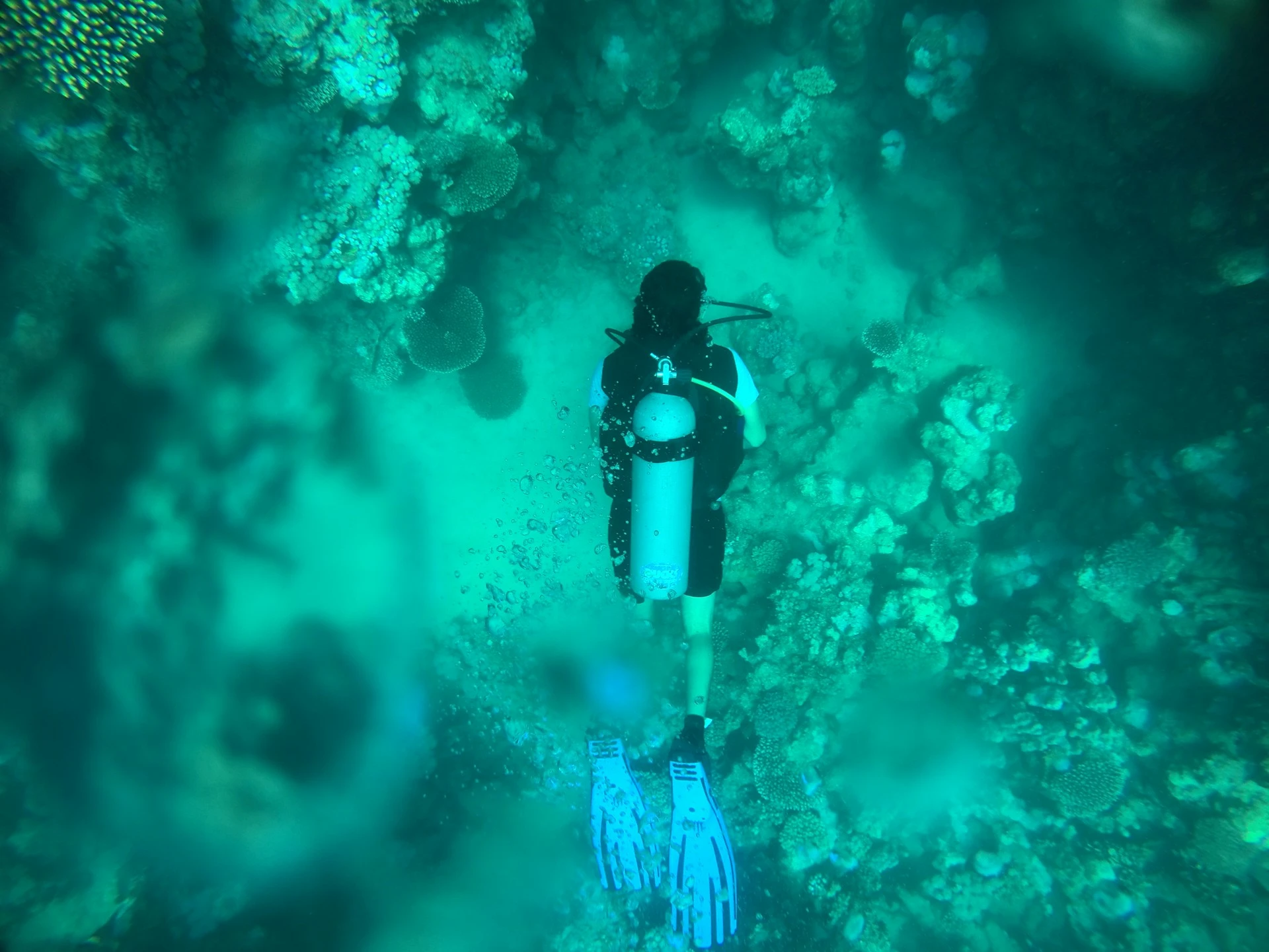 Hurghada — visite guidée privée avec guide francophone